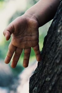 child's hand touching tree 