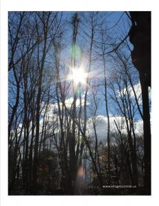 a sunburst through leafless trees