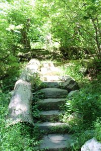 stone steps in the woods