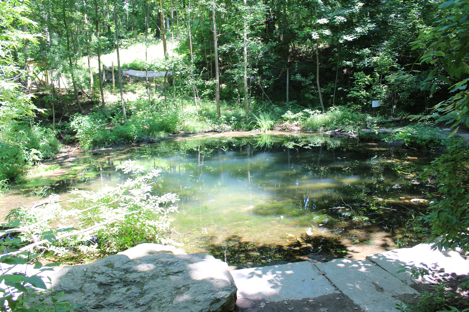 a pond surrounded by stone
