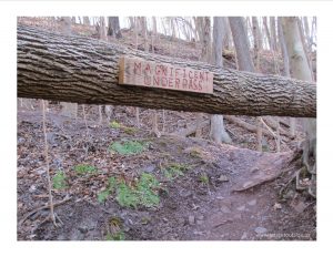 A fallen log sits above the trail. An attached sign says "Magnificent Underpass"