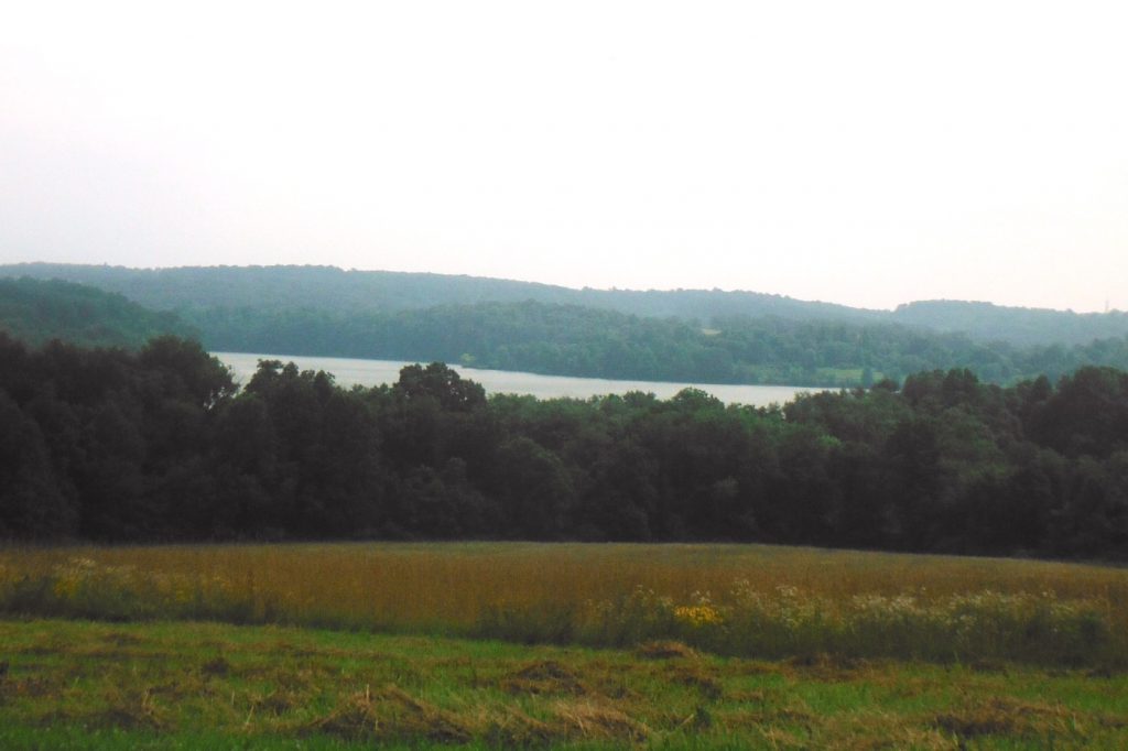 a landscape view of a lake from a distance. A field with wildflowers is in the foreground