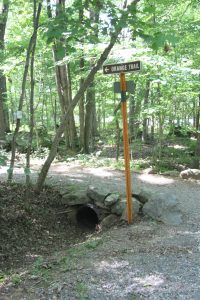 a gravel trail in the woods turns to the left; a sign on an orange pole reads "orange trail"
