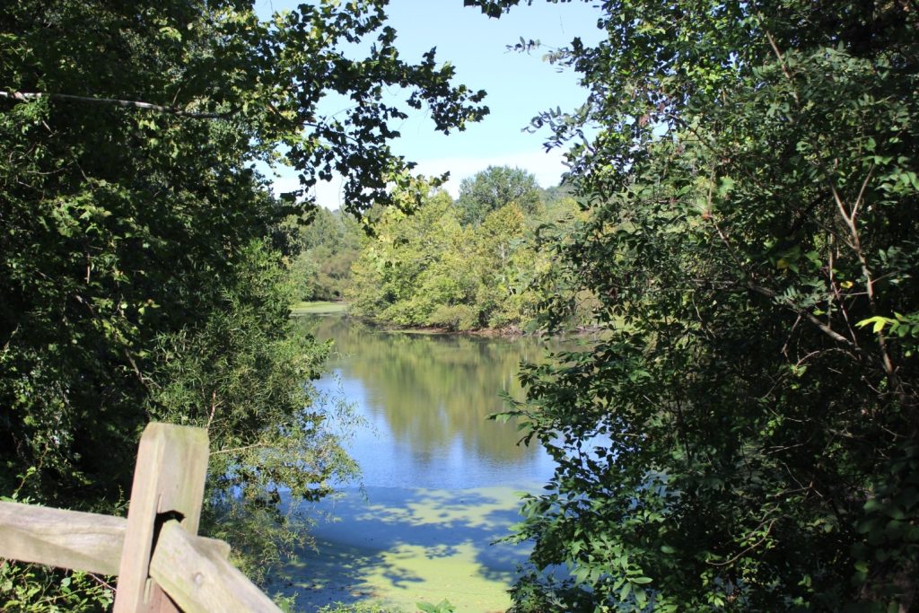 A lake surrounded by woods, as seen from behind a fence on a trail