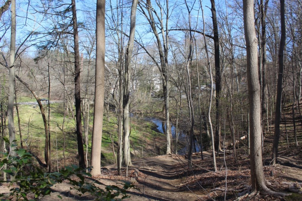 The trail curves gently to the right, with trees on both sides. To the left is the creek and beyond that open grassy area and a building on a hill