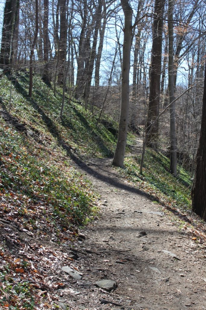 A dirt trail goes alongside a side with trees and greenery on both sides