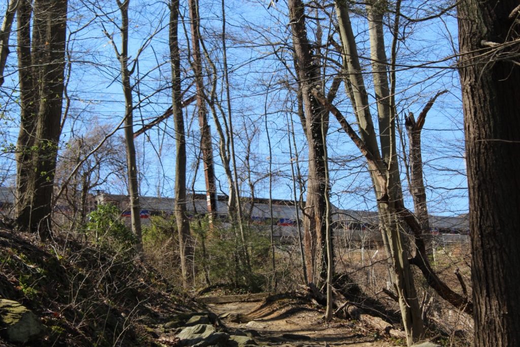 Looking up and to the left from the trail, a SEPTA rail train goes by