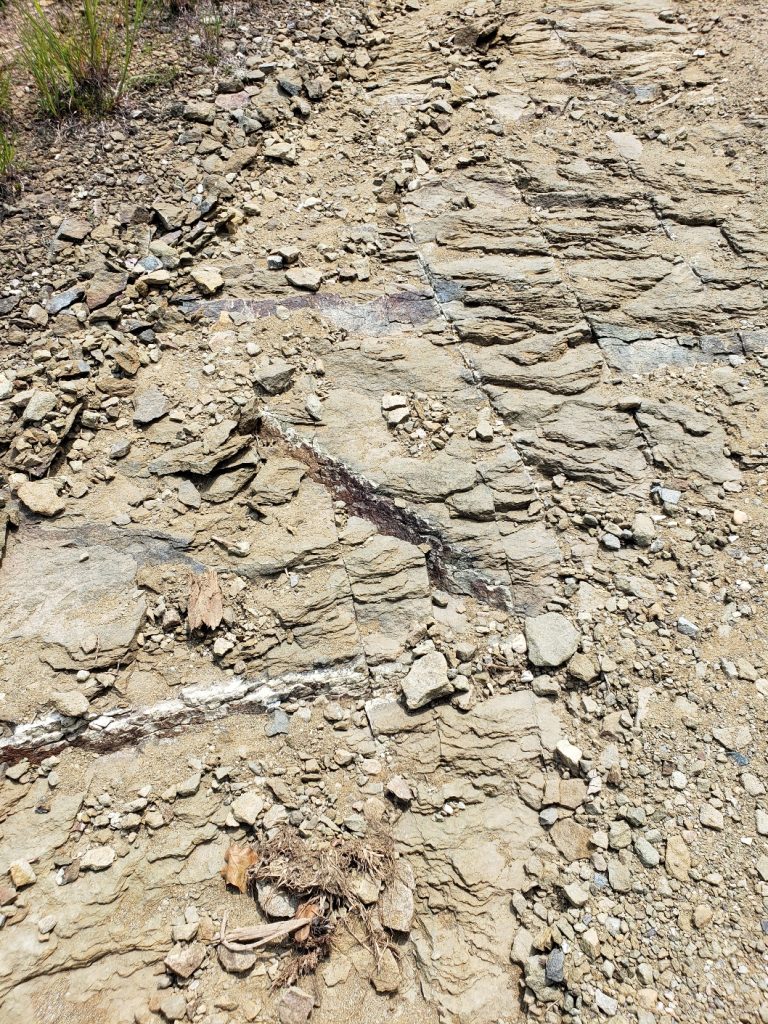 beige and brown crumby rock surface (the trail)