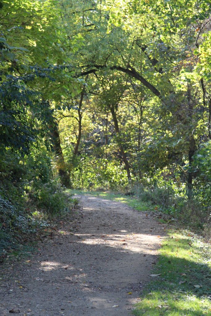 a gravel trail curves to the left under a canopy of green trees