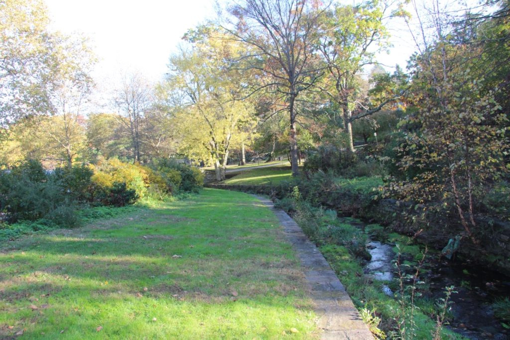 a park area alongside a creek