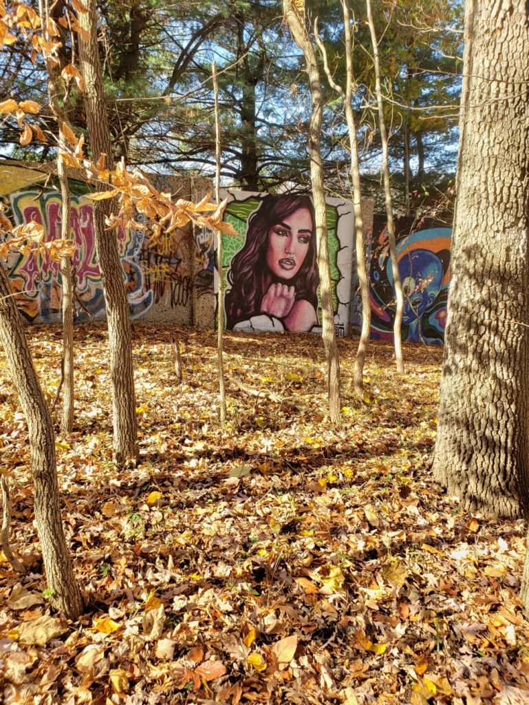 the image of a woman with dark hair painted on a cement wall (and other "graffiti") peeks between the trees; fall leaves cover the ground