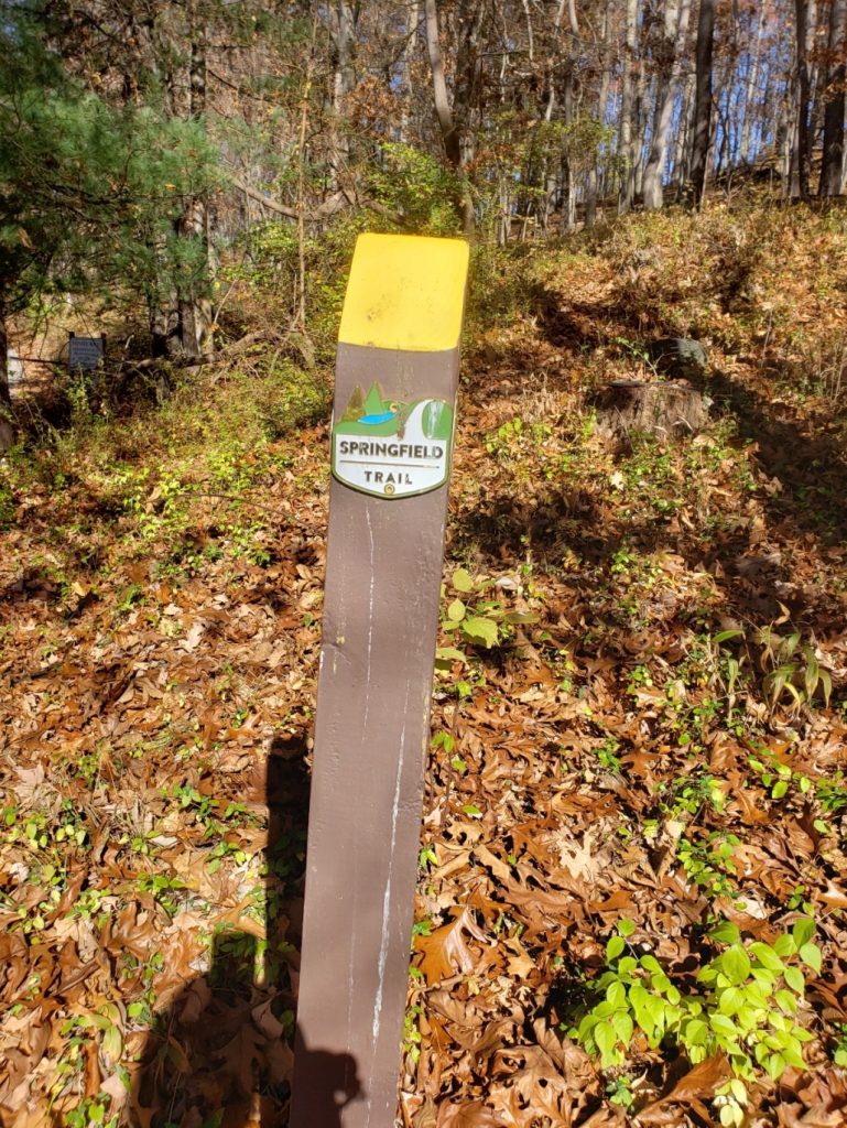 a wooden post painted yellow on its sloped top with a sign "Springfield Trail" attached to the side