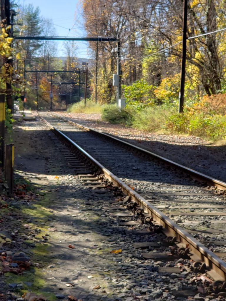 railroad tracks with greenery and trees on each side