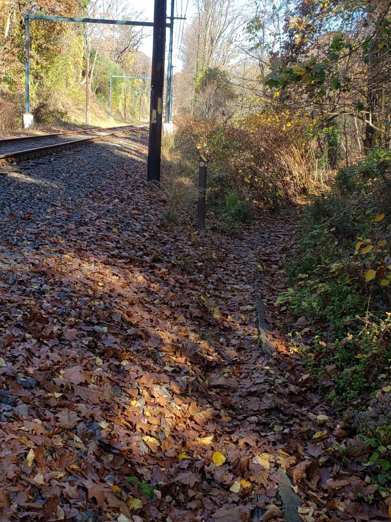 an alternate view of the railroad tracks with fallen leaves on the slope that falls from the railroad bed