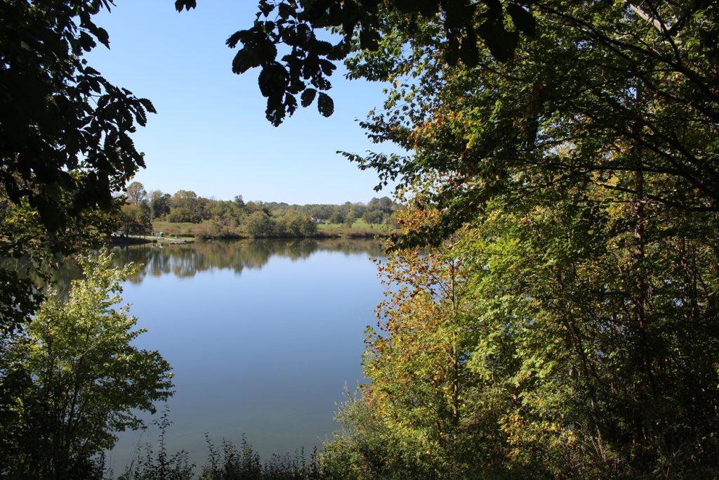 A glimpse of the lake framed by a variety of green trees and bushes