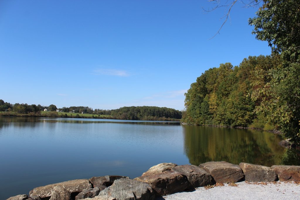 Blue sky and green bushes frame the edge of the lake where rocks form a barrier between the water and the light gray crushed gravel path.