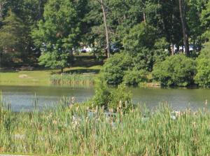 Deep Creek Lake @Green Lane Park