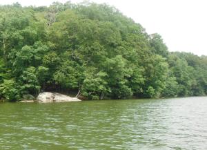 Marsh Creek Lake