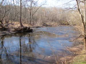 Skippack Creek