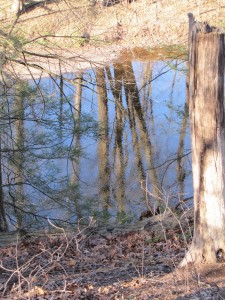 Skippack Creek