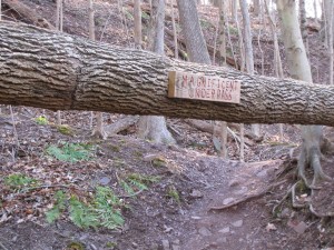 Skippack Creek Trail