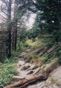 Appalachain Trail, Great Smoky Mountain National Park, TN